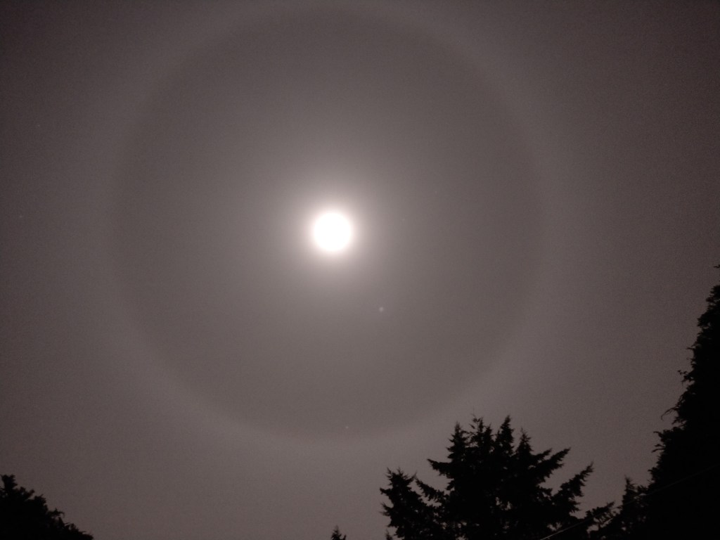 The moons 22° halo, as seen in a March night. This photo was taken by Ronny Errmann in his garden.