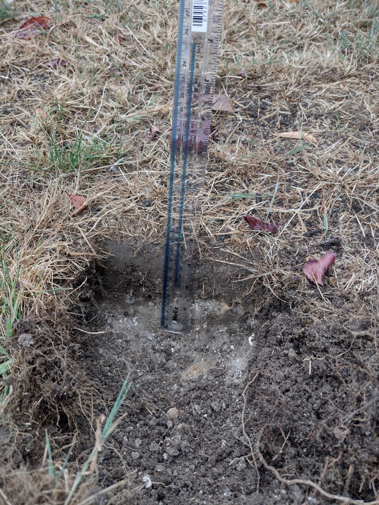 The 25 mm of rain penetrated about 50 mm of soil, below the soil is still bone dry.