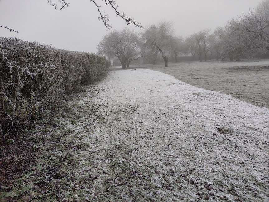 Frosty meadow in England. The parts in the shade from the hedge have three days of frost to them, the other parts just one day.